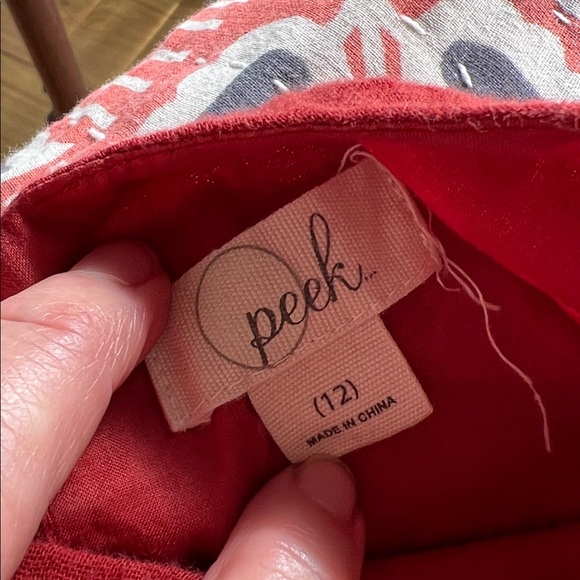 Peek Charming Girls Pink and Rust Orange Embroidered Dress Sz 12 - Picture 3 of 3